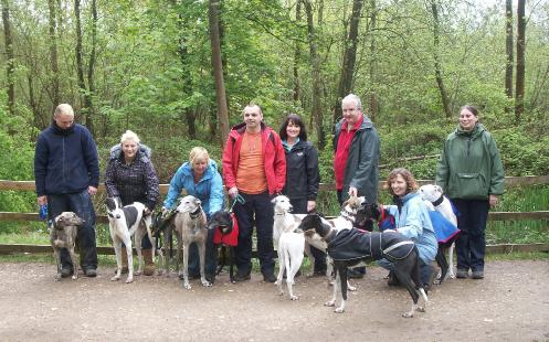 NorthantsSighthoundWalks02052010