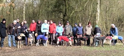 Salcey6thMarch
