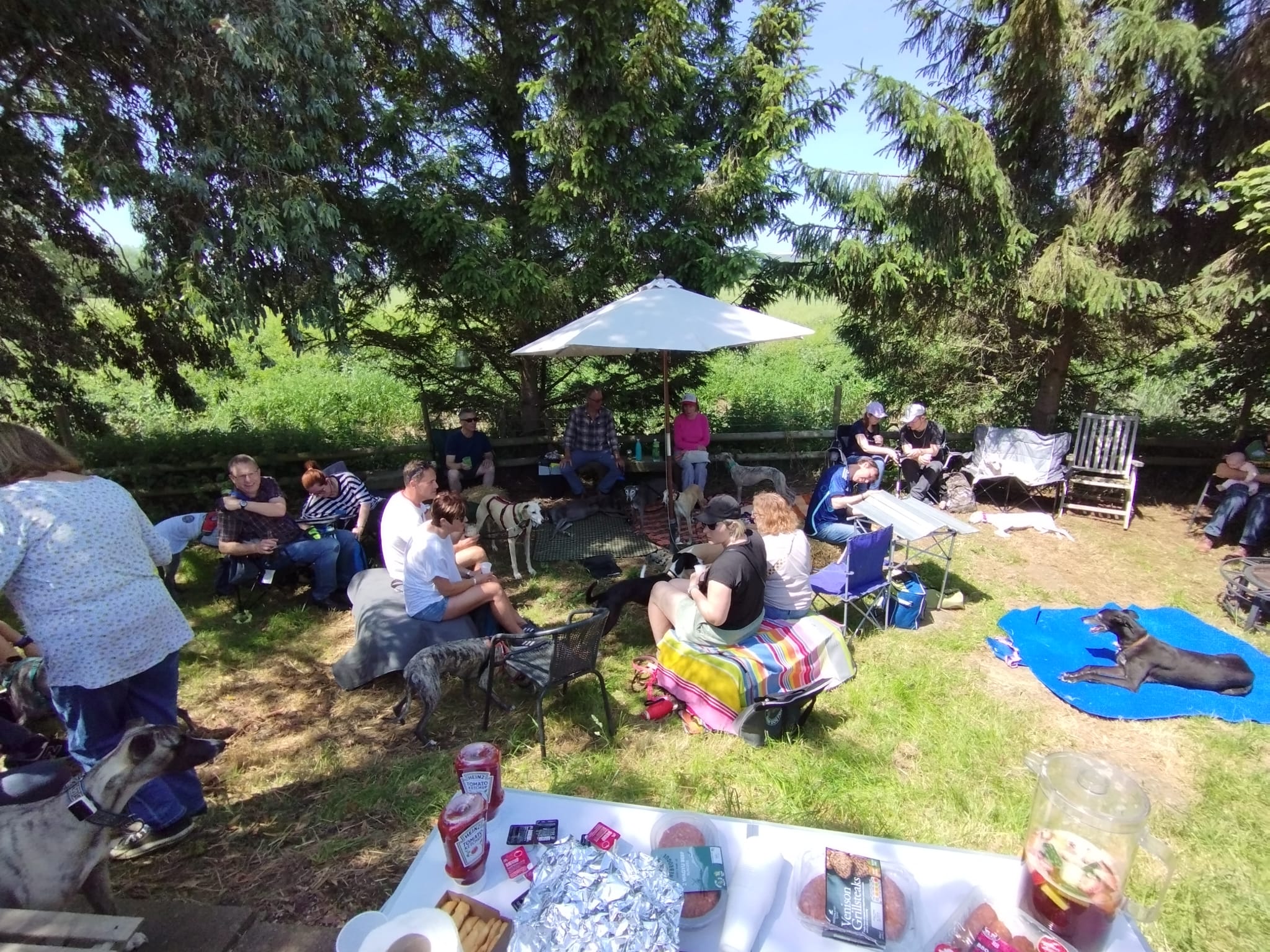 Ad-hoc Barbecue